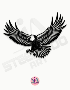 لوحة نسر السماء ... Code 1443