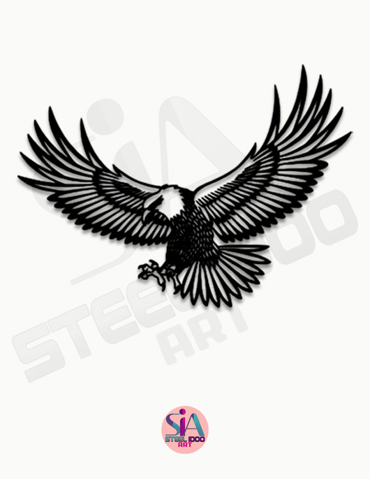 لوحة نسر السماء ... Code 1443