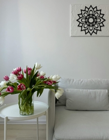 مجسم نسيم الصباح ... Code 6608